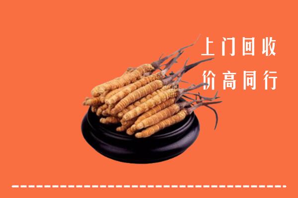 高价求购：郑州市中牟县回收散虫草