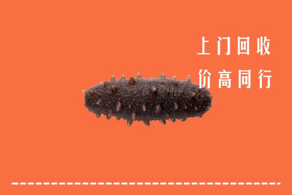 高价求购：郑州市中牟县回收海参