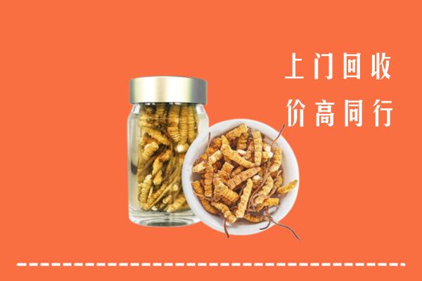 收购行情：郑州市中牟县回收冬虫夏草