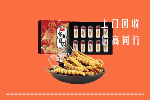郑州市中牟县回收虫草